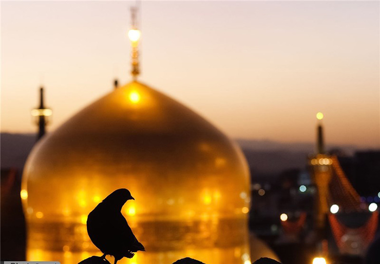 خرید بلیط هواپیما تهران به مشهد