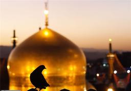 نکته هایی برای خرید بلیط تهران مشهد