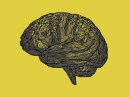 روانشناسی زرد چیست؟