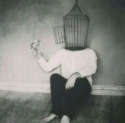 آزادی یا نادانی؟ مسئله این است!