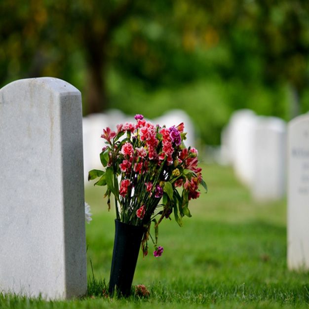 رفیق بی کلک، مادر... 