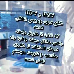 زگیل تناسلی چیست