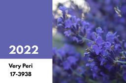 همه چیز در مورد انتخاب رنگ سال