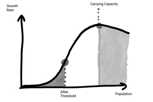 ظرفیت برد با توسعه ازدیاد جمعیت