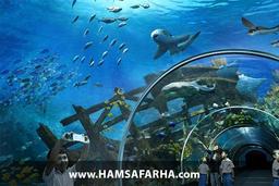 آشنایی با آکواریوم کیش و راهنمای بازدید از آن