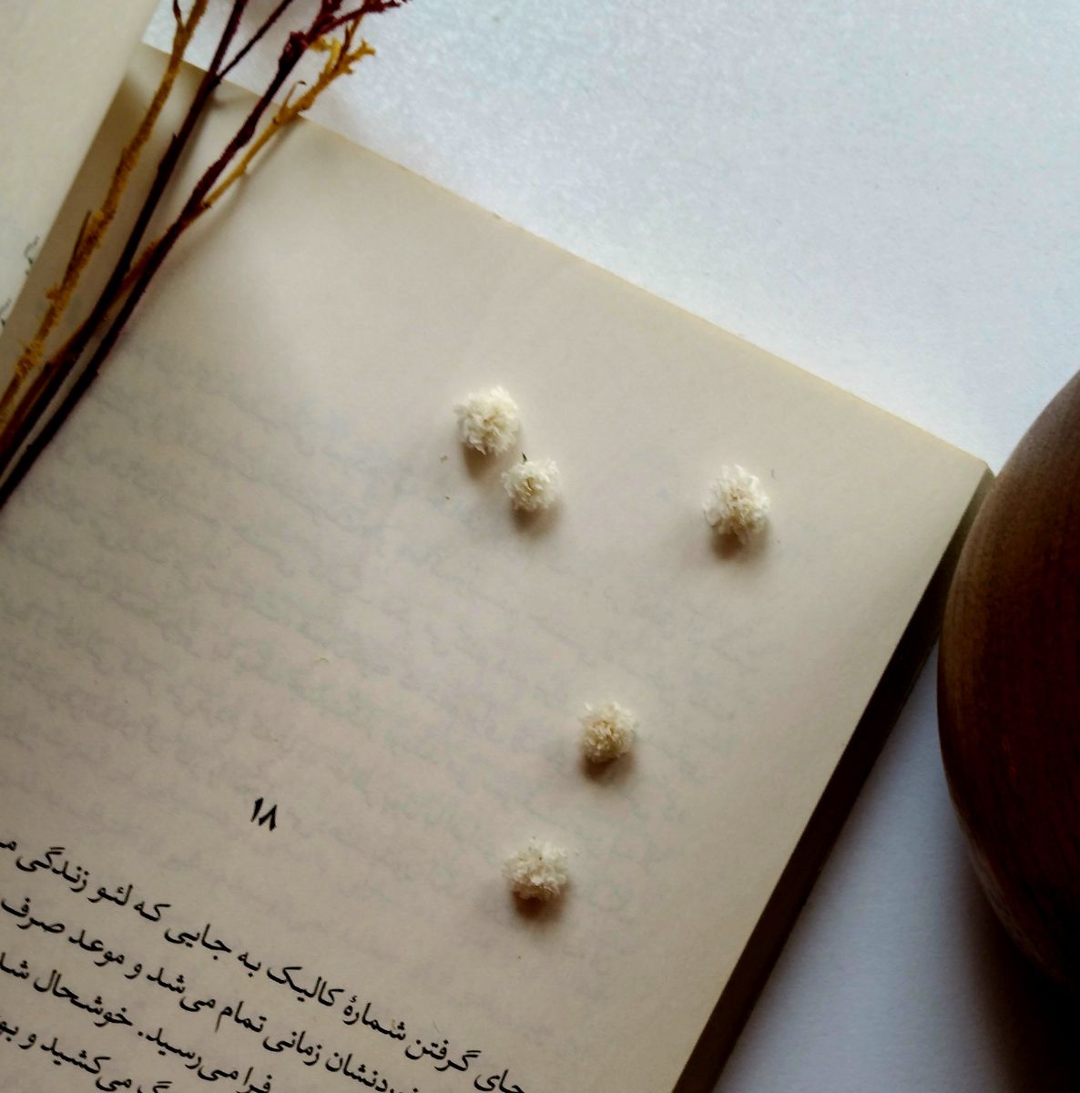 از مورد علاقه‌ها