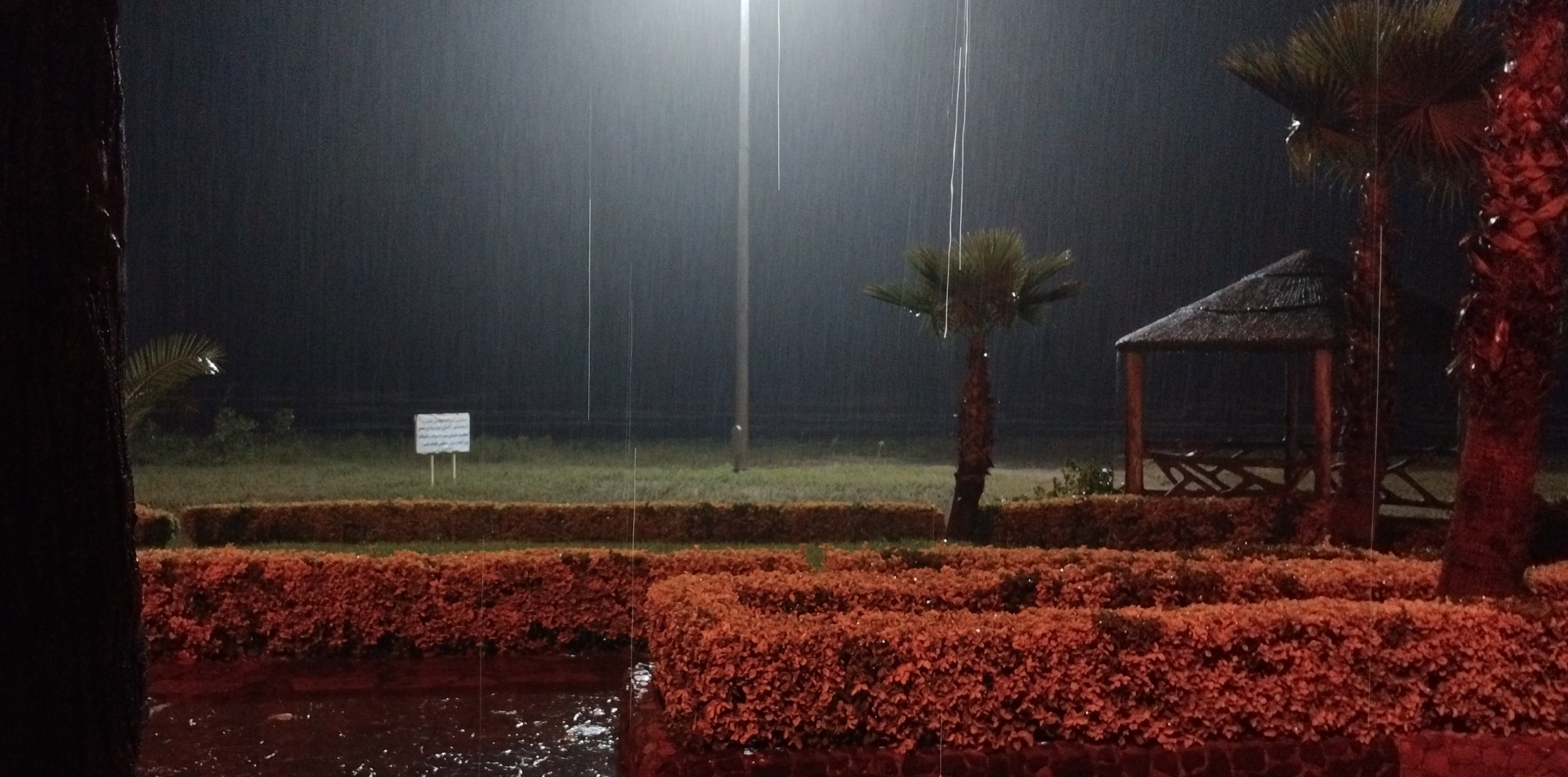 وعده دریا به من آن شبِ مهتاب، در بغل طوفان: شوق