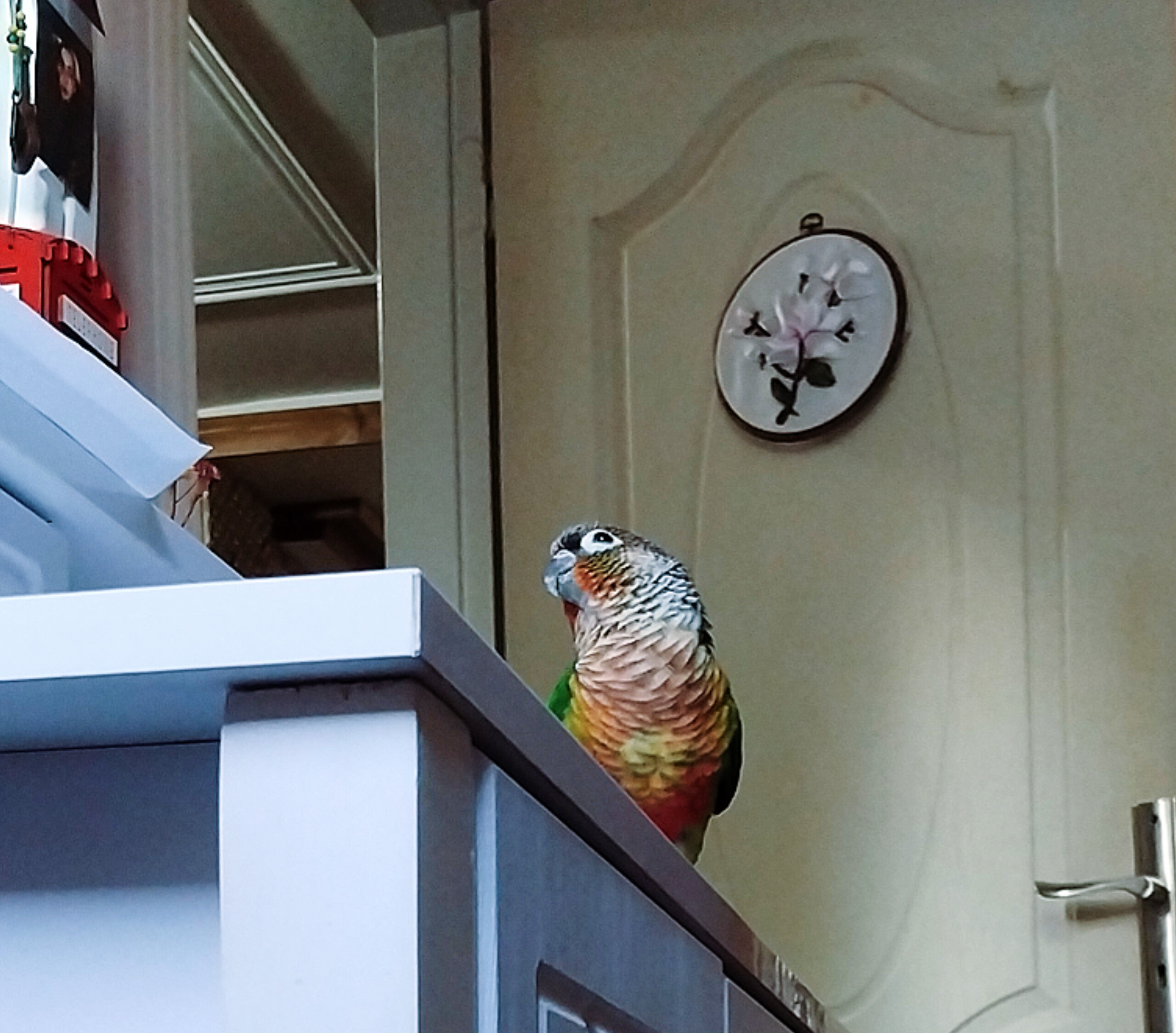 ما چله نشین شب آزادی خویشیم ..