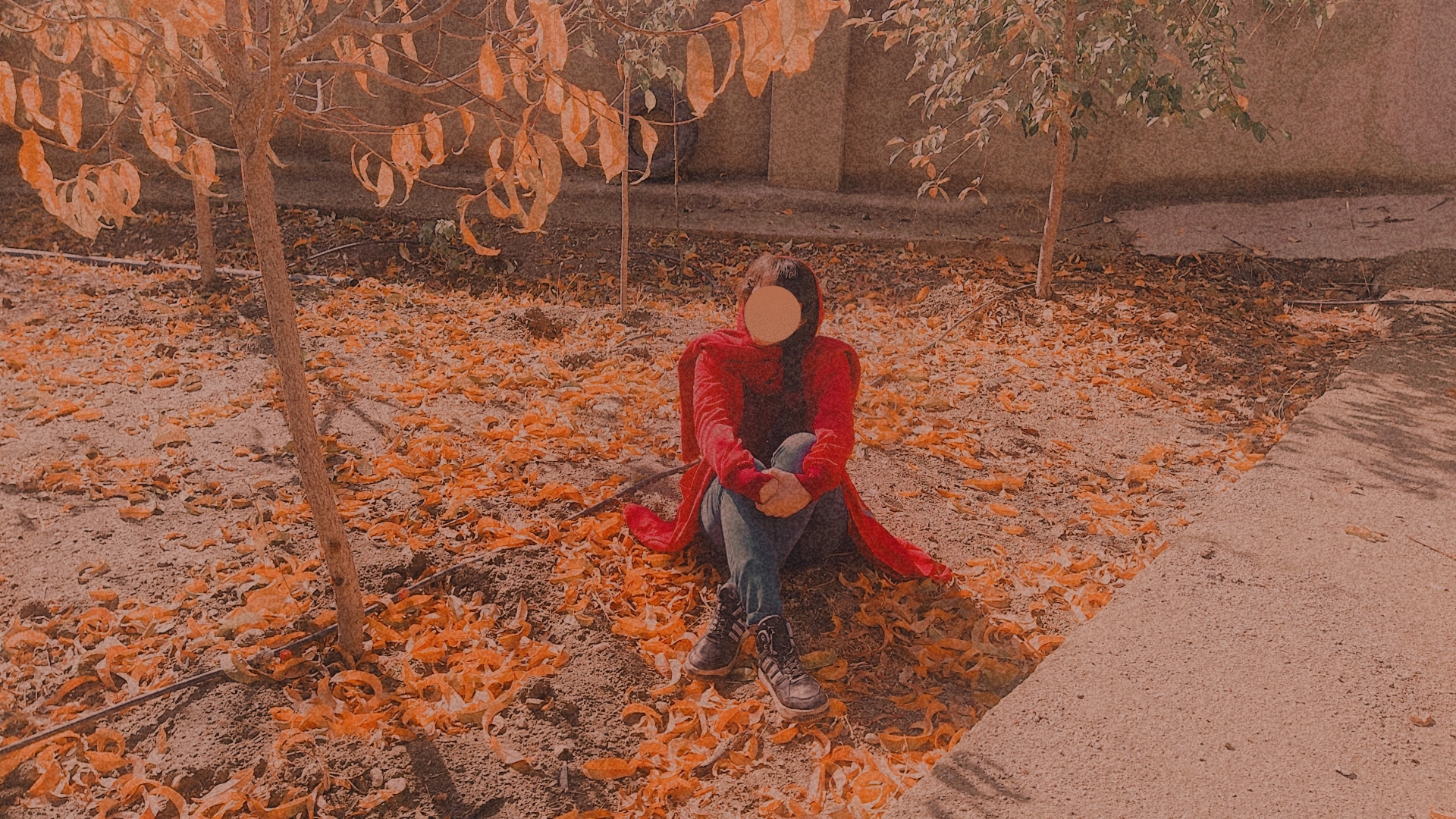 از آخرین روزهایی که قرمز می‌پوشیدم . موهایم بلند بود . روزهایم روشن‌تر .