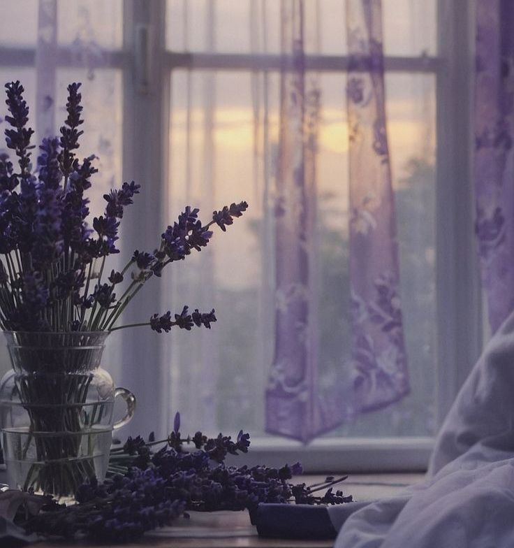 کابوس یک دشت بنفش