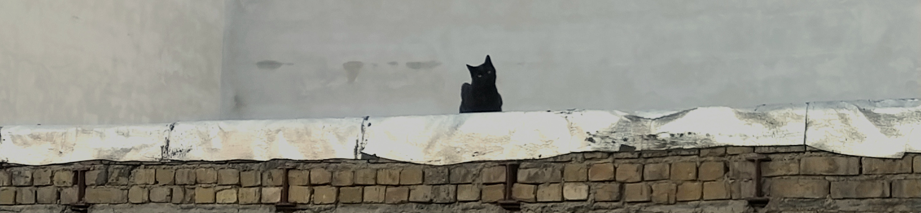 تناسخِ شب . پیش از واقعه . آن زمان که دست‌هایش، هنوز آلوده نبود .