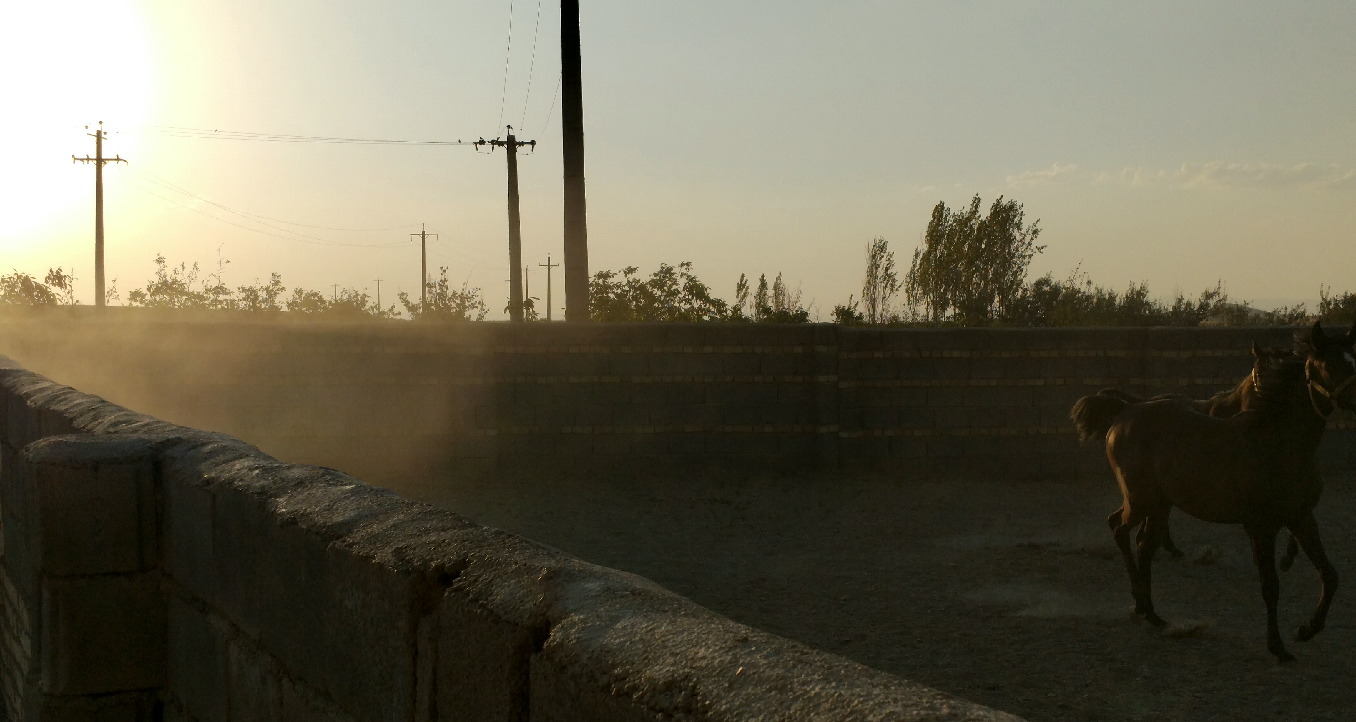 روزهای پیش از قتلِ غروب . دور .