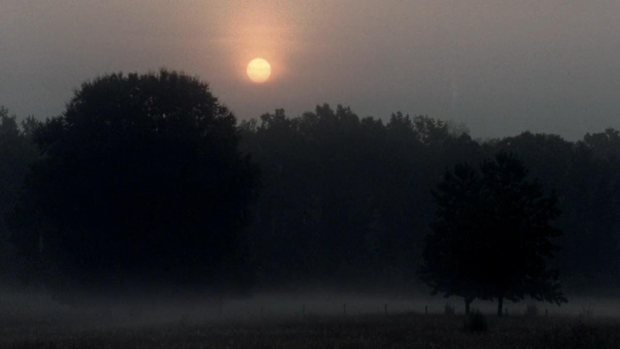 سه تفنگدار: شب . من . آبنوس