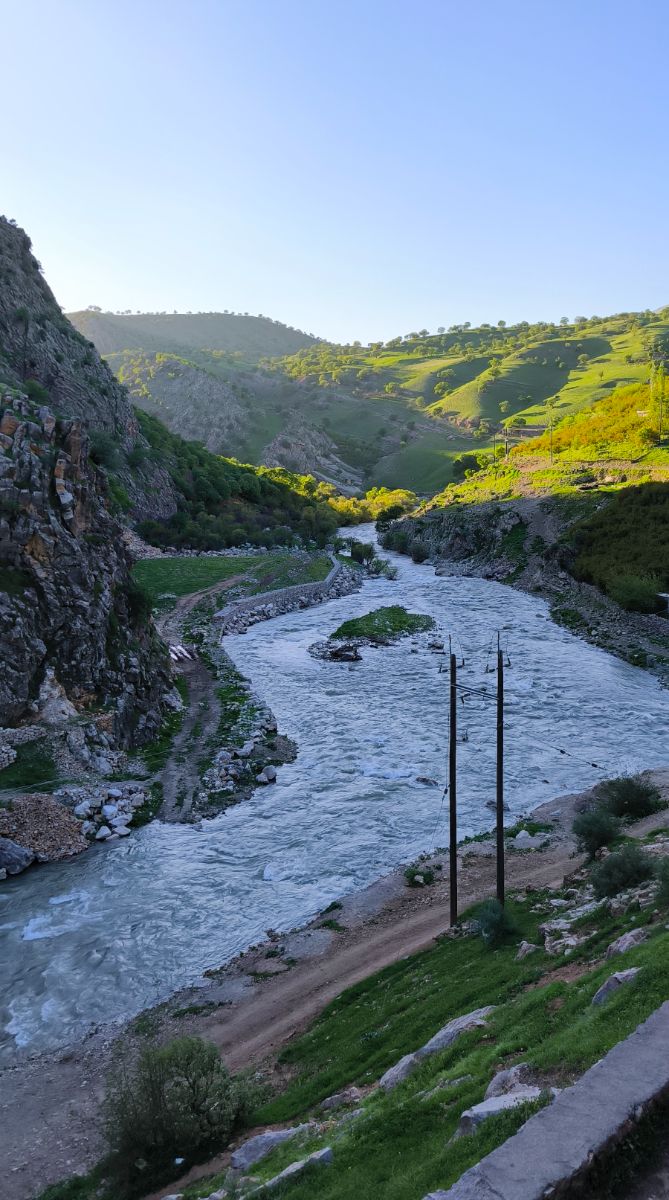 حوالی عصر .