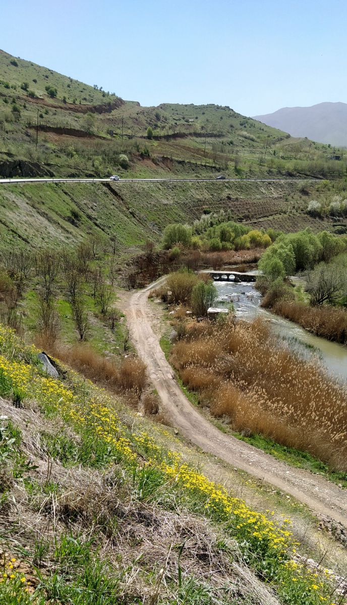 حوالی صبح .