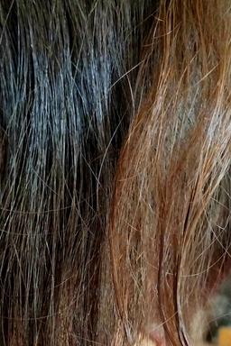 گیسوی نسلِ تلفیقی