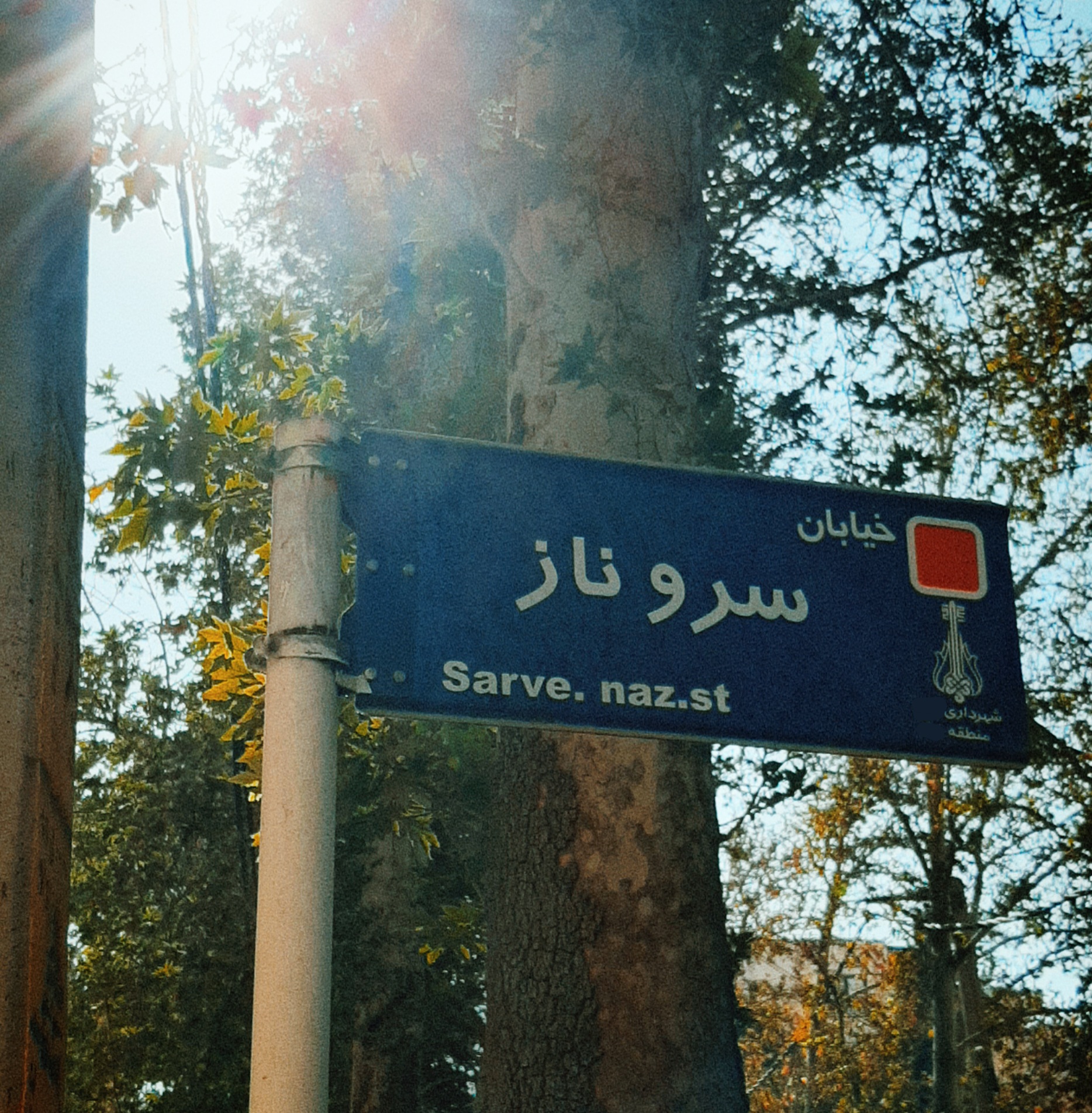 آخرین نبشته شادباش: غم