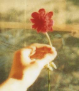 جسور و بی پروا🎐