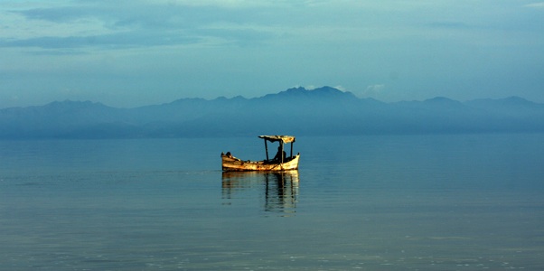 نمایی از فیلم