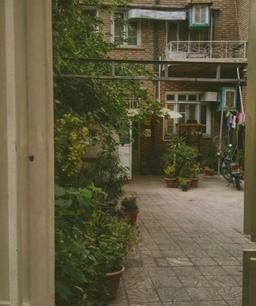 زندگی را دوست دارم❤️