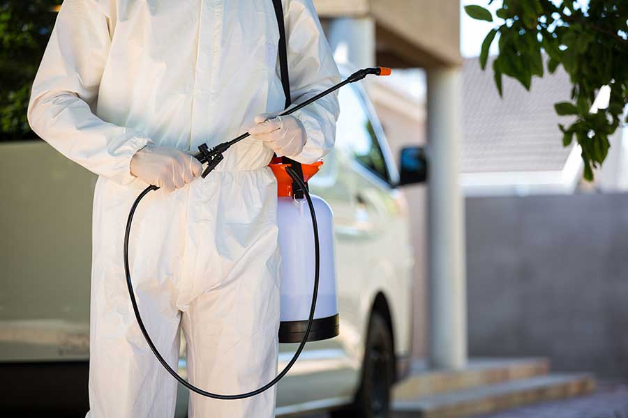 سمپاشی | سمپاشی ارزان - شرکت سمپاشی Pest Control