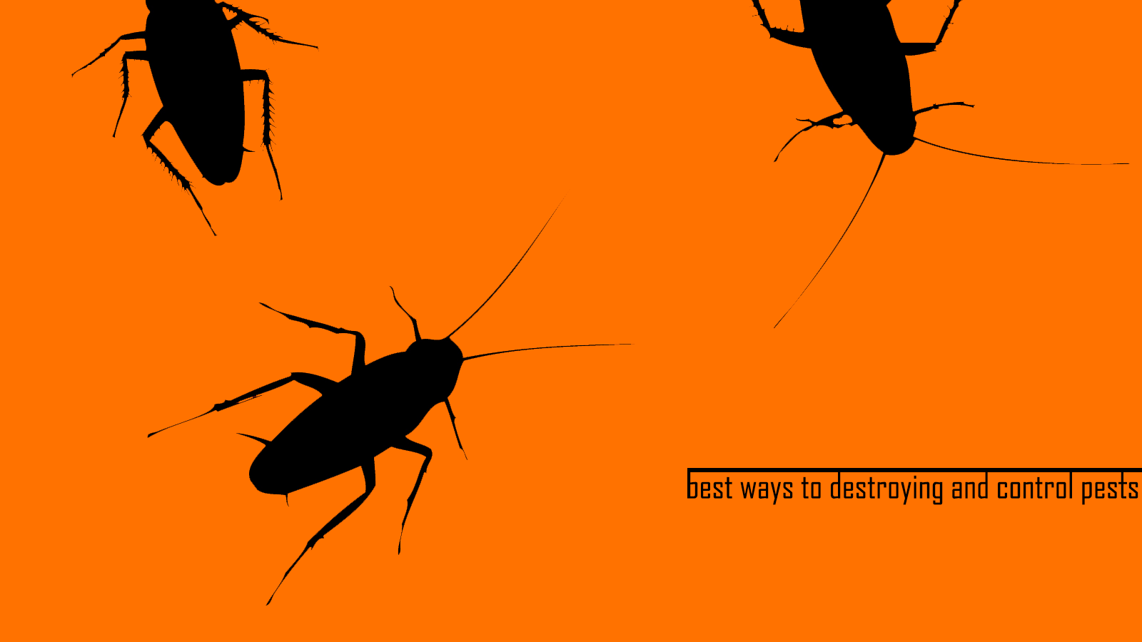سمپاشی سوسک | کشتن ساس | سمپاشی حشرات best ways to destroying and control pests