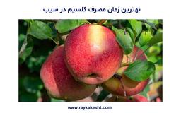 بهترین زمان مصرف کلسیم در سیب