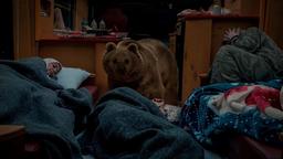 تن‌پوشِ خرسِ «پایتخت» راه را برای فیلمسازی حرفه‌ای هموار کرد