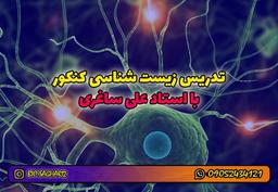 بهترین مدرس زیست شناسی کنکور