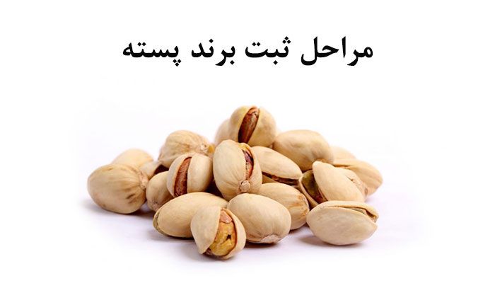 ثبت برند پسته و مواد غذایی