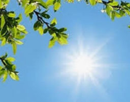 امروز اتفاق خاصی نیافتاده است.