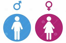 نکته ای جالب در مورد جنسیت در زبان فارسی