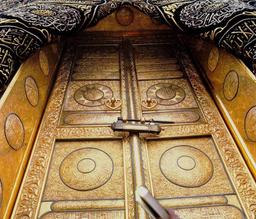 وقتی پرنده ها می آیند...