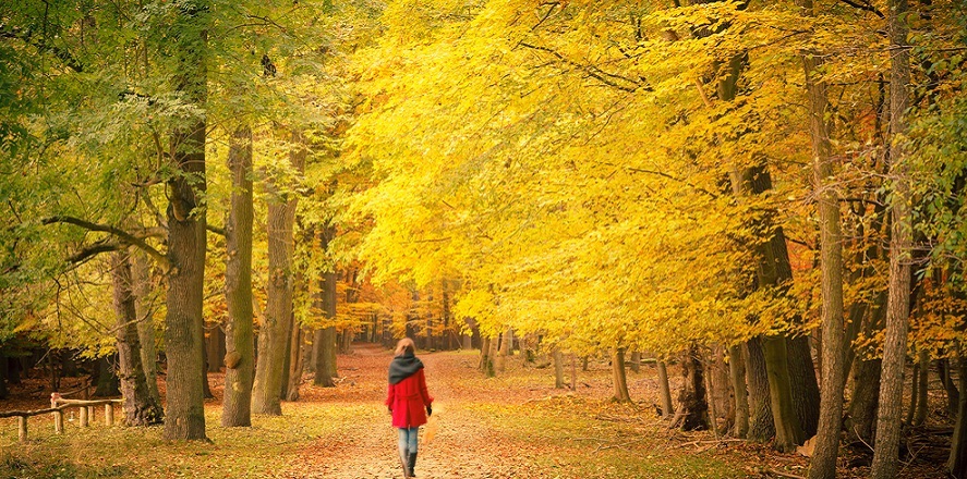 داستان سکسی