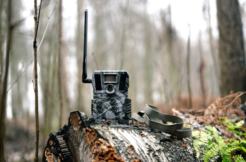 دوربین حیات وحش و مستند سازی در جنگل