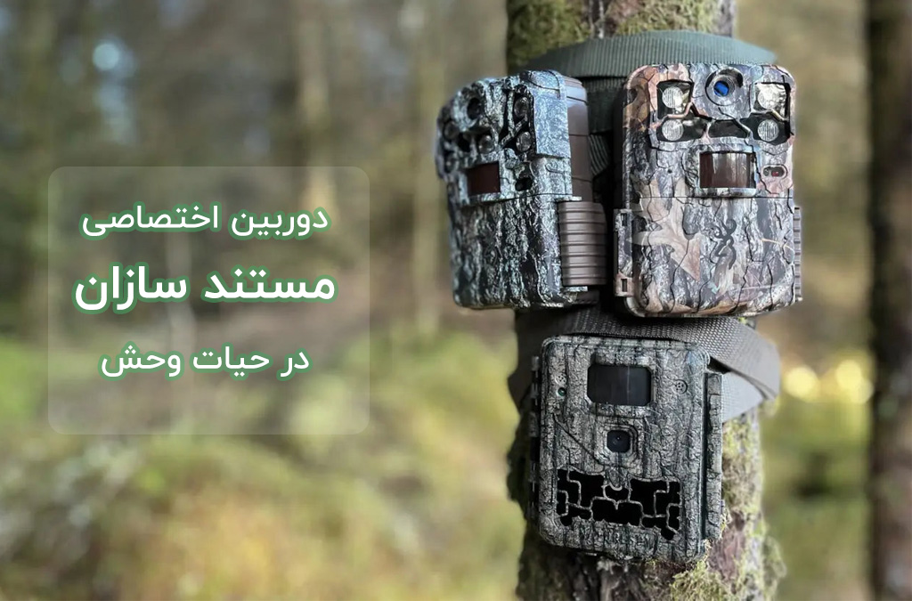 نمونه دوربین مستند سازی کارگذاری شده در طبیعت
