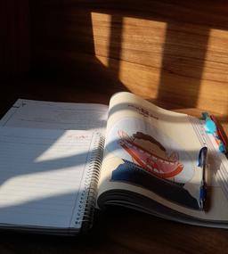 دانشجویِ کنکوری!