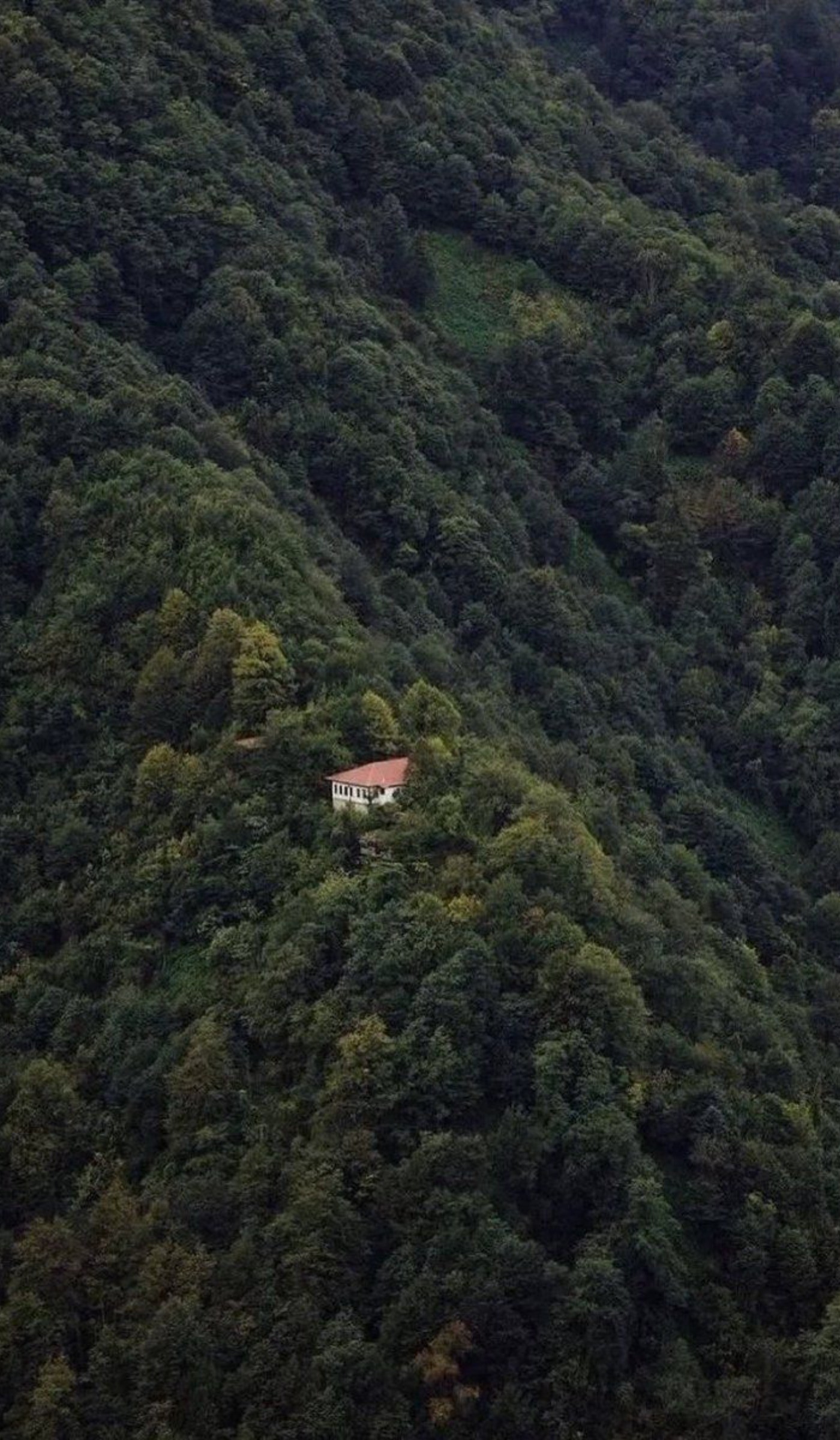 بزنم به دل طبیعت و دیگه برنگردم.