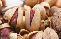 مهمترین پسته های تجاری ایران