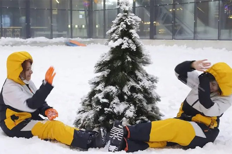 پارک برفی پنگوئن کیش