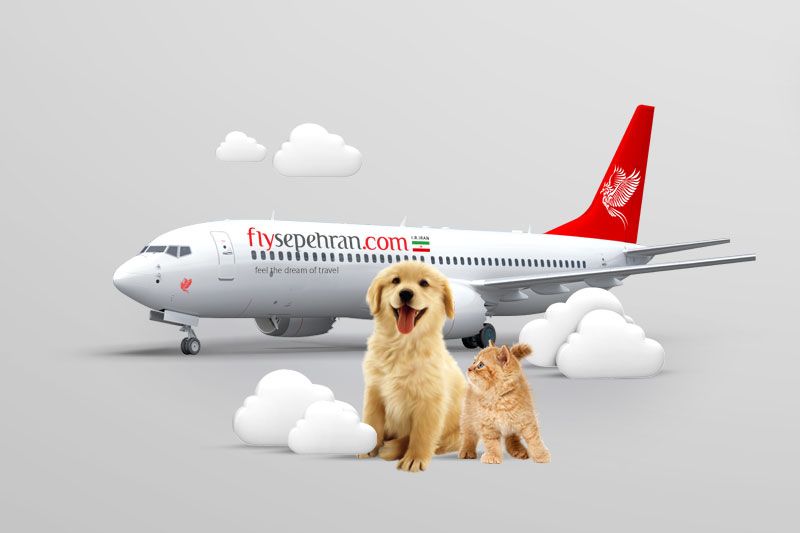 سفر با حیوان خانگی در پروازهای خارجی سپهران