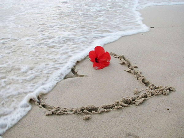 داستان عاشقانه اهدای قلب