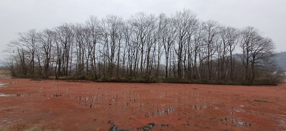 تالاب سوستان سرخگون پاییزی!