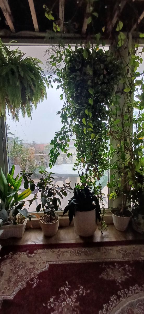 یه خونه که بخشی از یه خواب بود انگار!