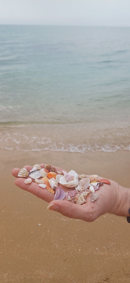 صدفهایی که شاید باید برگردونم و شاید نتونم..