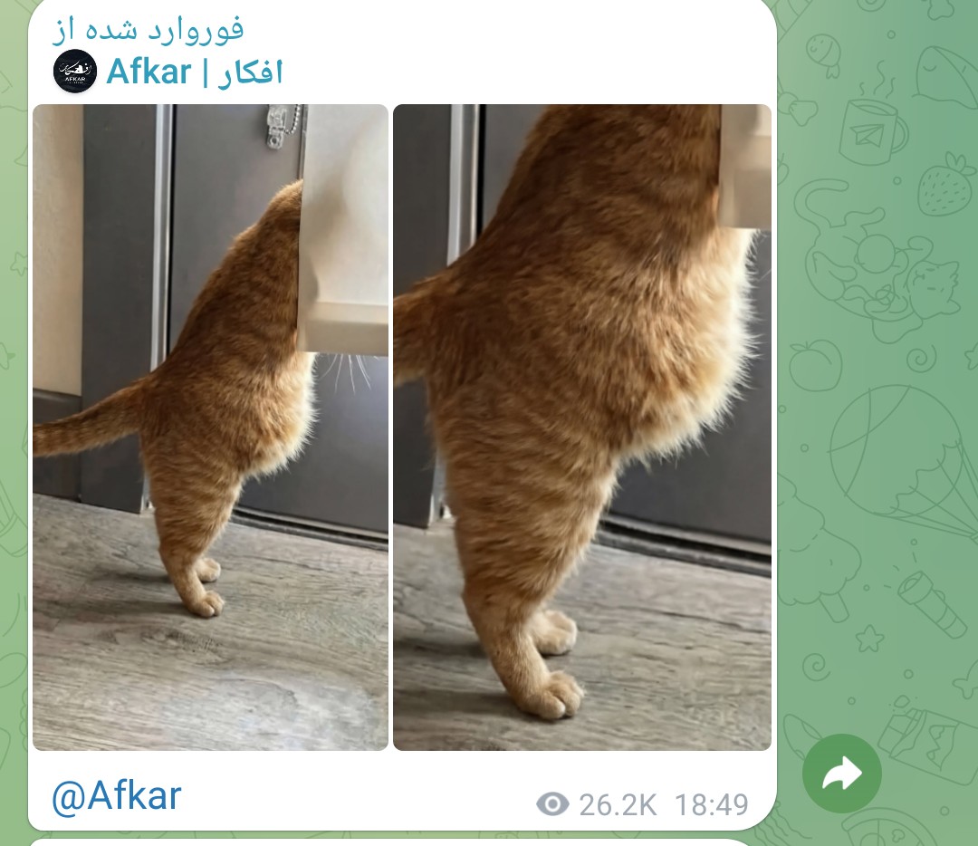 علاف نامه: ششمین روز خاموشی