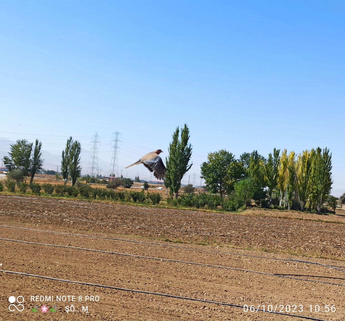 تصاویر هنری