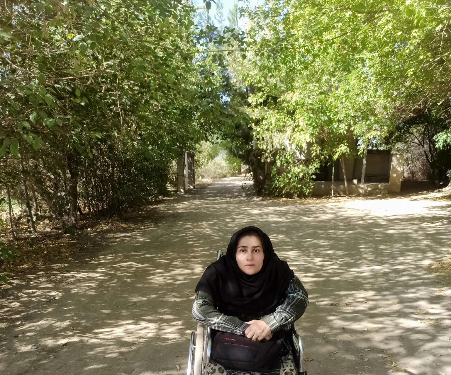 بیوگرافی هنرمند...🌺