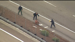 لخت و پابرهنه میرم تیمارستان