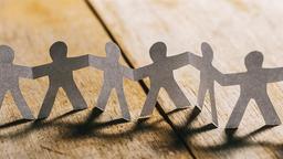 ما در کار گروهی ضعیف هستیم؟ بله یا خیر؟